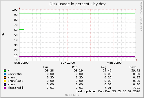 Disk usage in percent