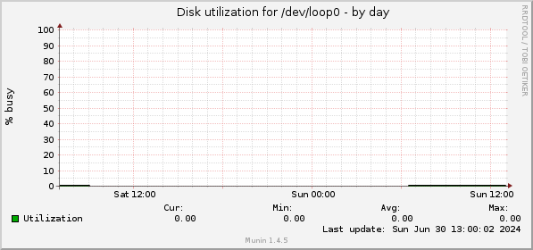 Disk utilization for /dev/loop0