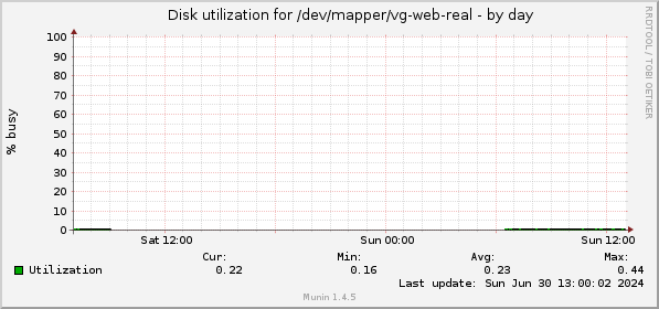 Disk utilization for /dev/mapper/vg-web-real