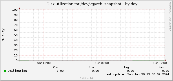 Disk utilization for /dev/vg/web_snapshot