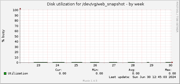 Disk utilization for /dev/vg/web_snapshot